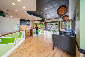 New Teahouse that Brings People Together to Socialize, Relax and Enjoy Tea