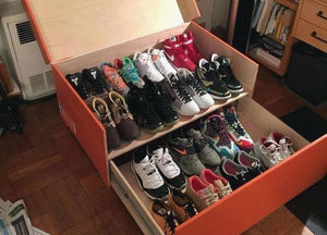 Glamorous Shoe Box Organizer