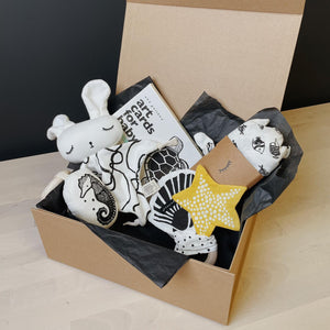 Wee Gallery New Baby Gift Box - Ocean